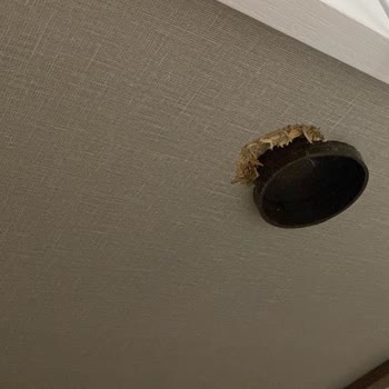 Kelebek Mobilya Kelebek Mağazası Kutulum Hasarı