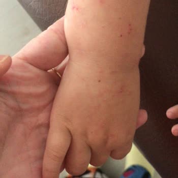 İstikbal Tam Bir Hayal Kırıklığı