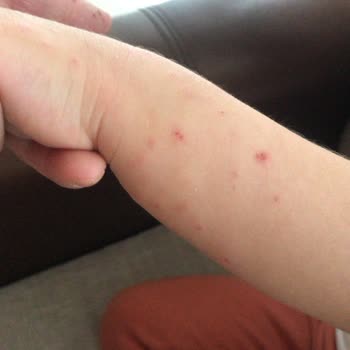 İstikbal Tam Bir Hayal Kırıklığı