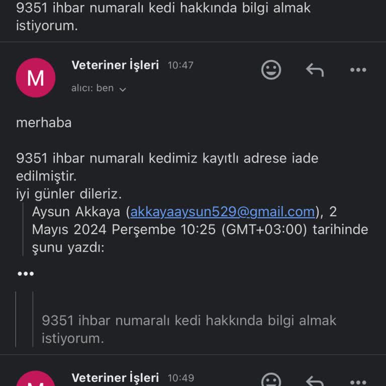 Menemen Belediyesi Veterinerlik Tedavideki Kedi Ortada Yok