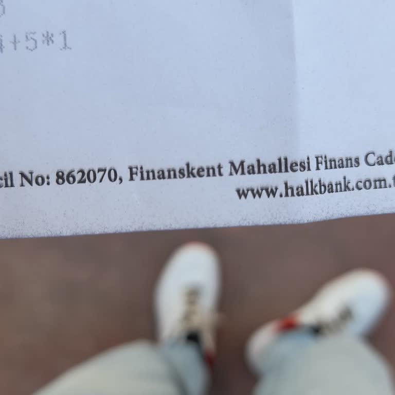 Yüksek Seçim Kurulu (YSK) YSK Seçim Ücreti