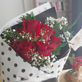 Osevio.com Oseviyo Mağduruyum Ve Gereğinin Yapılmasını İstiyorum