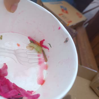 Pazar Döner (Sivas) Pazar Döner Salatada Böcek Var