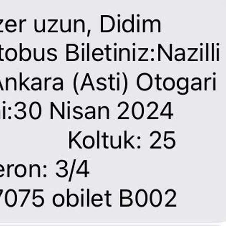 Didim Seyahat Otobüsümüz Nazilli'ye Uğramadı, Mağduriyet Yaşadım!