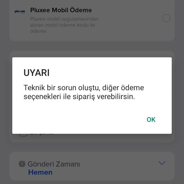 Domino's Ödeme Sorunu: Teknik Arıza Mağduriyeti