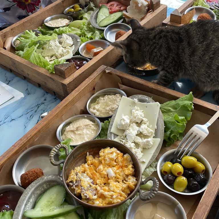 Ağa Kapısı Cafe Serpme Kahvaltı Eksik Ve Görsellerle Alakasızdı