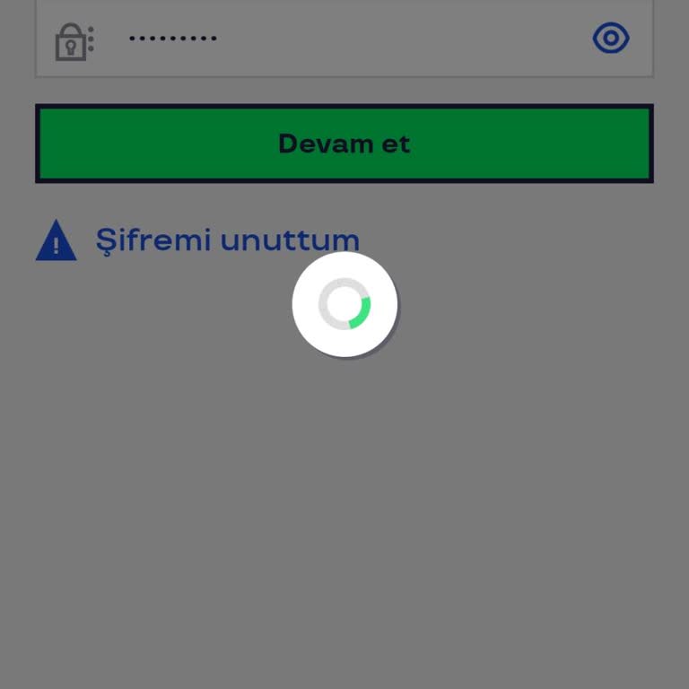 Pluxee Türkiye Donmadan Dolayı Ödeme Yapamadım
