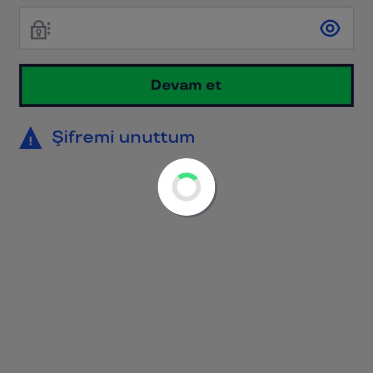 Pluxee Ve Mobil Uygulama Problemleri