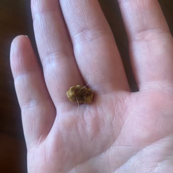 File Marketin Harras Markası