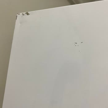 Vestel Servisi Mağduriyetten Ötesi Değildir