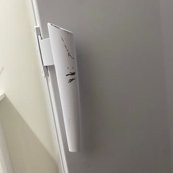 Vestel Servisi Mağduriyetten Ötesi Değildir