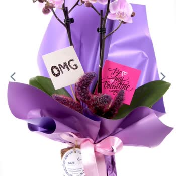 Taze Çiçek Tam Bir Fiyasko