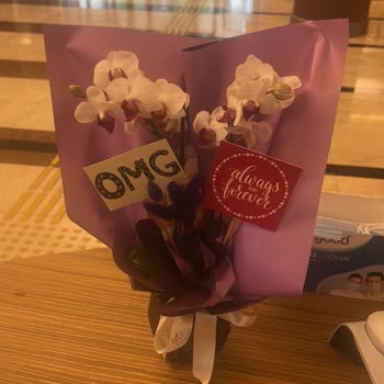 Taze Çiçek Tam Bir Fiyasko