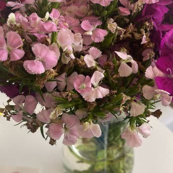 Çiçek Sepeti Kusurlu Ürün Gönderiyor