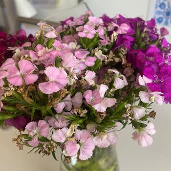 Çiçek Sepeti Kusurlu Ürün Gönderiyor