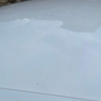 Renault Sıfır Clio Tavan Boyası Sorunu Acil
