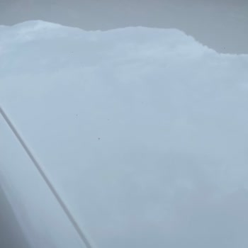 Renault Sıfır Clio Tavan Boyası Sorunu Acil