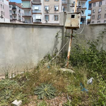 CK Enerji Akdeniz Elektrik Elektrik Dagıtım Şirketi