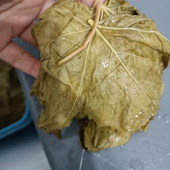 Fatmanın Bahçesi Adlı Sayfanın Gerçek Yüzü