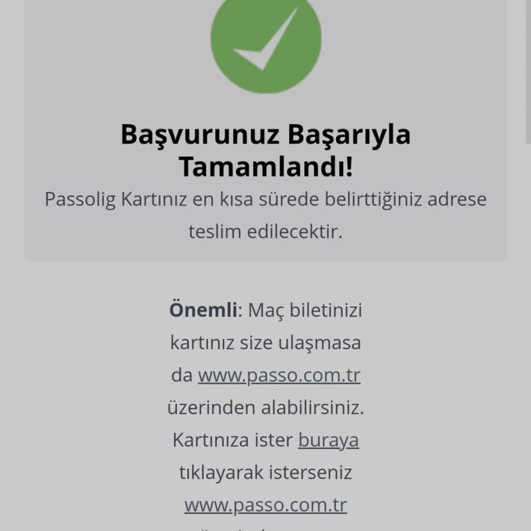 Passolig Bilgiler Kontrol Ediliyor