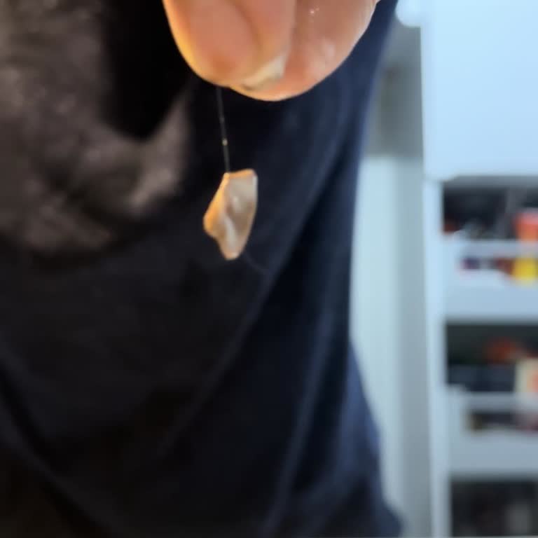 Magnum Dondurmanın İçinden Kıl Çıktı