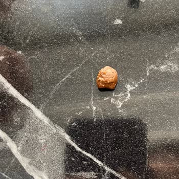 Superfresh Bezelyenin İçinden Kocaman Taş Çıktı