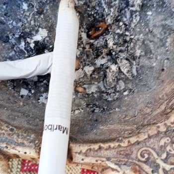 Marlboro Tütün Mü Yoksa Odun Mu Kullanıyor