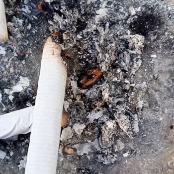 Marlboro Tütün Mü Yoksa Odun Mu Kullanıyor