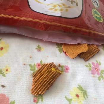 Haşiroğlu Tarhana Cipsinden Plastik Çıktı