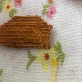 Haşiroğlu Tarhana Cipsinden Plastik Çıktı