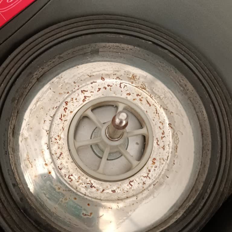 Aura Cleanmax Bakım Sonrası Daha Kötü: Süpürge Servis Hüsranı