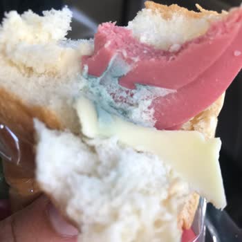 BİM'de Satılan Dardanel Ürünü (Dardanel Sandviç) Küflü Çıktı.