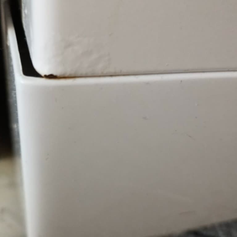 Arçelik Bulaşık Makinesi Çürümeye Başladı
