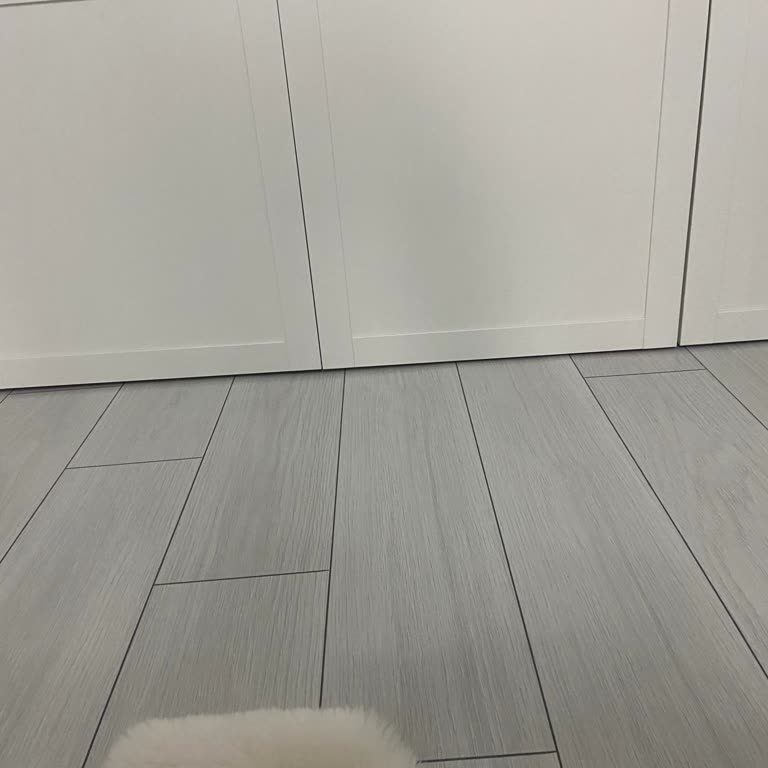 IKEA Ürünümde Garanti Kapsamında Bana Kusur Buldular.