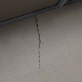 Yataş Kırık Baza Suntası