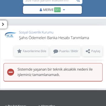 E-Devlet (Turkiye.gov.tr) Sistem Hata Veriyor!
