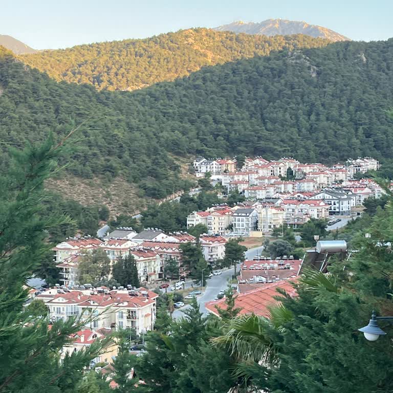 Muğla Büyükşehir Belediyesi Taşyaka Mahallesi 218/17 Sokak Civarına Hiç Sinek İlaçlaması Yapılmadı