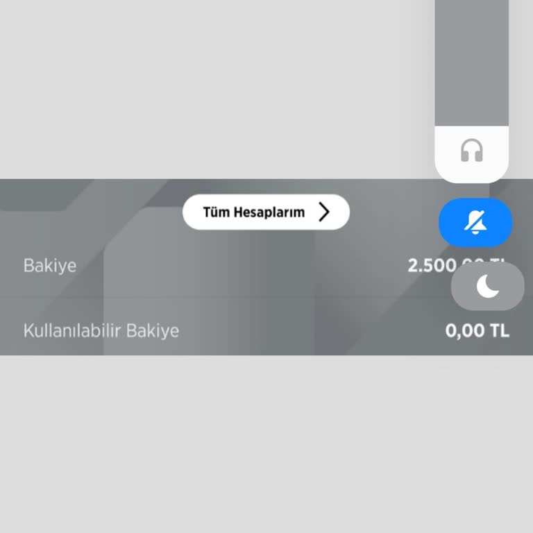 Ziraat Bankası Bakiyemdeki Paramı Kullanamıyorum