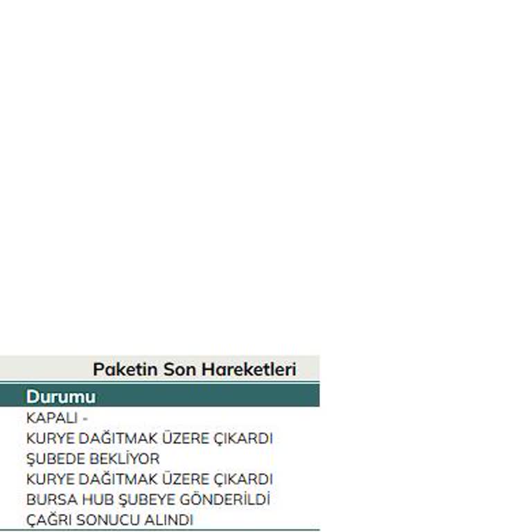 UPS Turkey Delivery Fiasco! 5-Day Delay & Fake Excuses