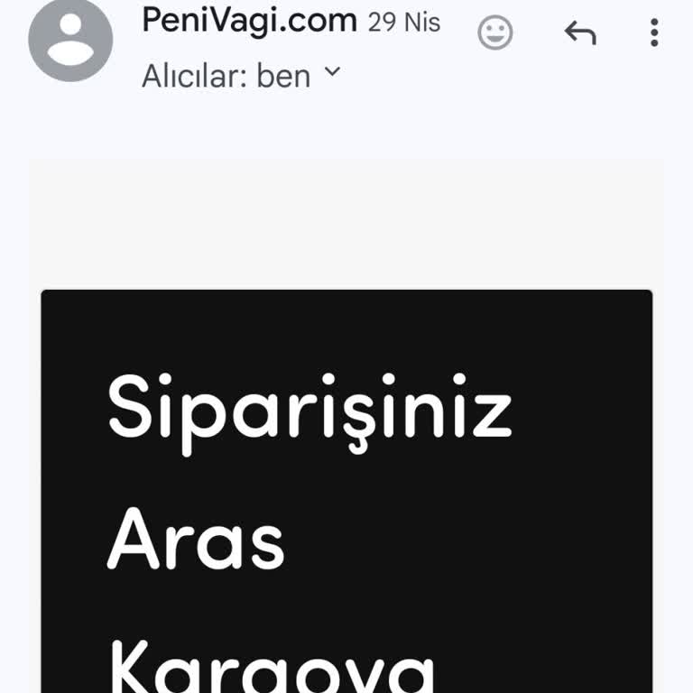 Penivagi.com Adlı Sitenin İşgüzarlığı