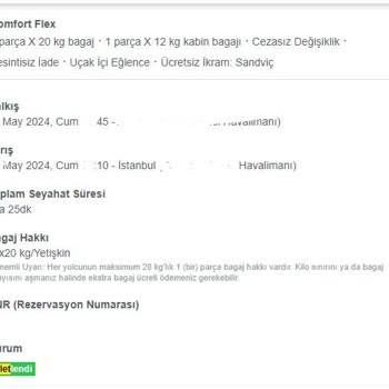 Enuygun.com - Ne Yapmaya Çalışıyor?