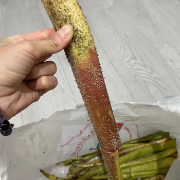 Sebze Meyve Dünyası'nda Taze Sebze Almak Mümkün Değil