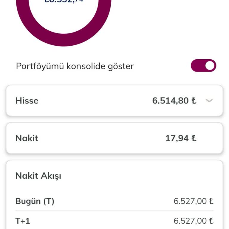 QNB Finansinvest Halka Arz Gözükmüyor.