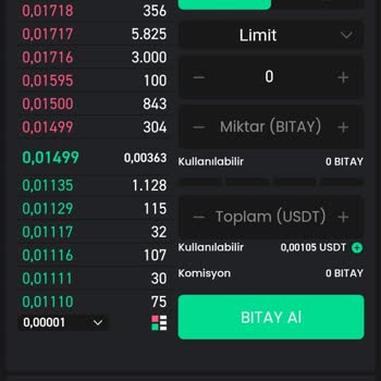 Kilitleri Açılmayan Bitay Ve Cord Coin