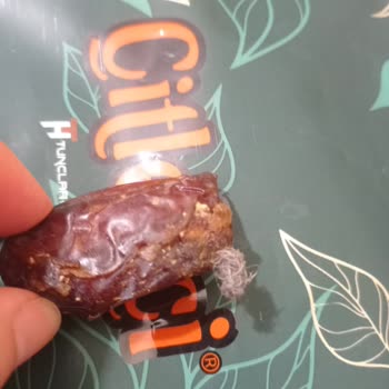 Çitlekçi İlk Defa Bu Kadar Pişman Oldum