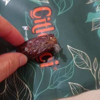 Çitlekçi İlk Defa Bu Kadar Pişman Oldum