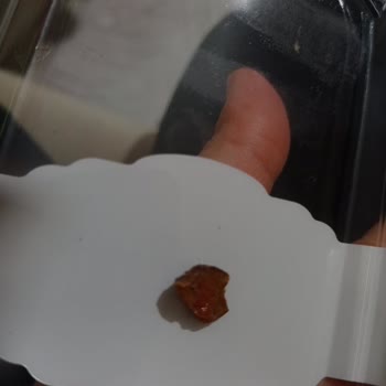 Çitlekçi İlk Defa Bu Kadar Pişman Oldum