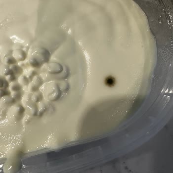 İçim Süt ve Süt Ürünleri İçim Kaymak Küflü