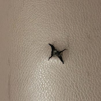 Sinay Mensucat Döşeme Kumaş Fiyaskosu