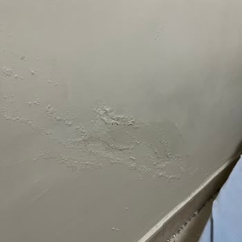 Üniyurt Afyon Rutubetli Oda